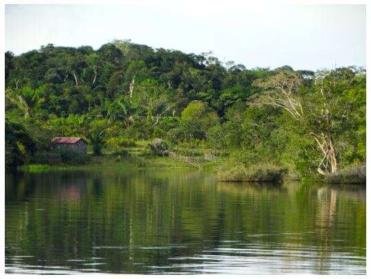 Funai interdita 343 km² de área indígena no Amazonas