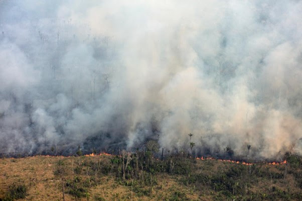 Focos de calor na Amazônia aumentaram 98%, diz Inpe