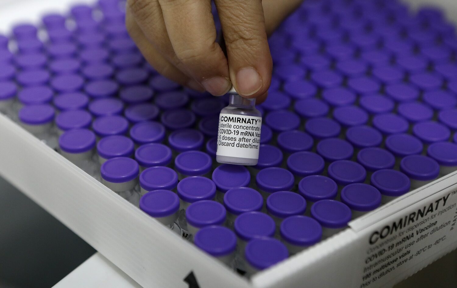 Brasil recebe hoje lote com 629 mil doses de vacina da Pfizer