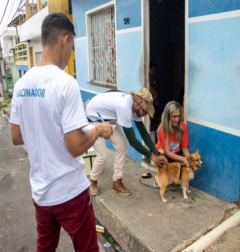Vacinação antirrábica é oferecida em rede de supermercados em Manaus