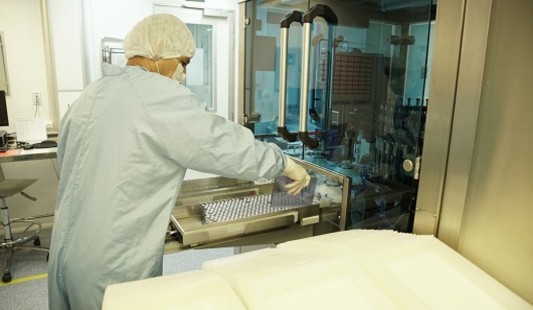 Fiocruz prevê entrega de vacinas e diz que vai aumentar produção em 33%