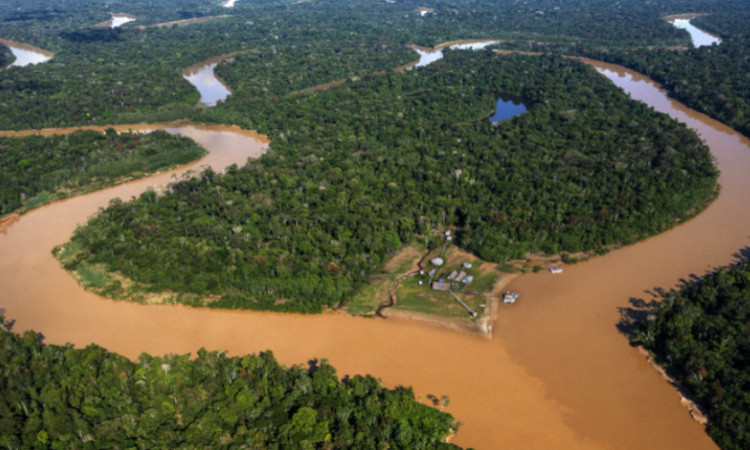 MPF recomenda à Funai medidas de proteção ao Vale do Javari