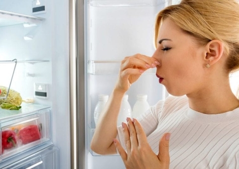 Saiba como usar aveia para acabar com o mau cheiro da geladeira