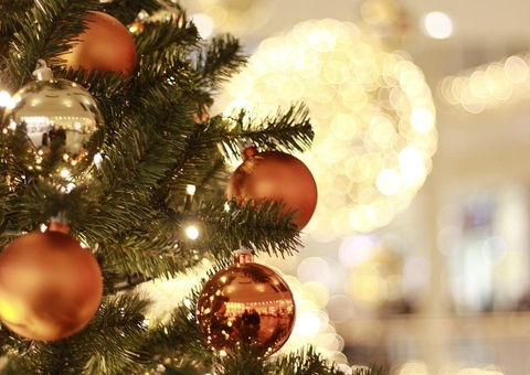 Entenda a tradição de desmontar árvores do Dia de Reis