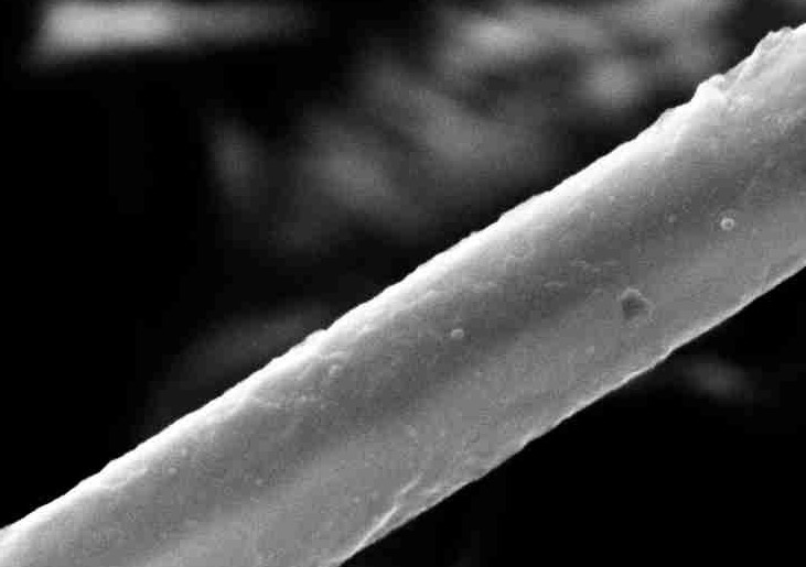 Fontes renováveis poderão ser usadas para queimaduras