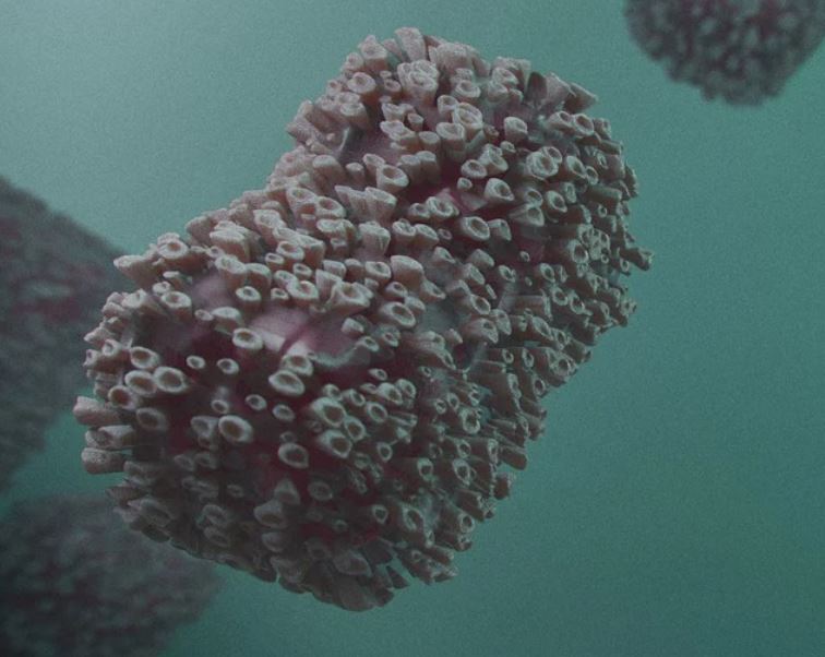 4° caso da varíola dos macacos é confirmado no Brasil; Saiba onde