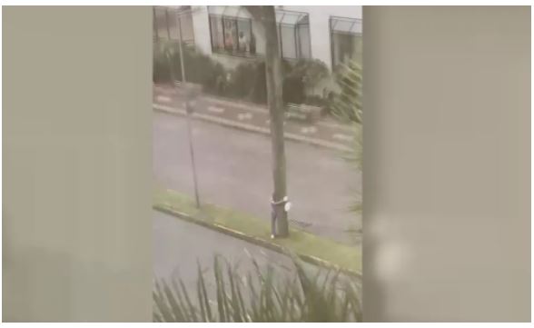Homem se agarra em árvore para não ser levado por ventania de 91 km/h