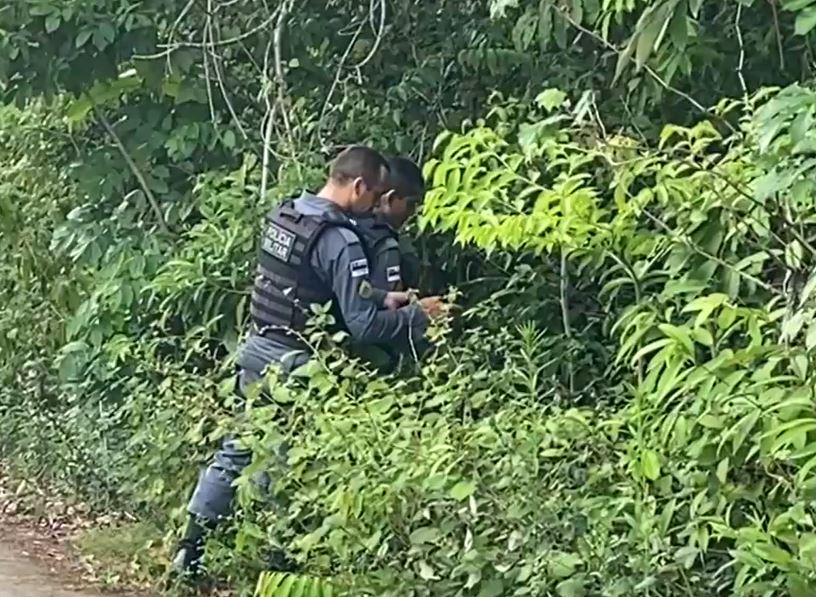 Corpo de bebê é encontrado sendo devorado por urubus na AM-010 