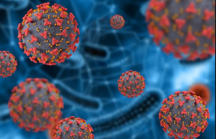 Especialista diz que Brasil tem 92 variantes do coronavírus em circulação