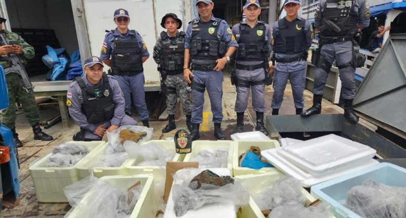 Carga de pedras semipreciosas ilegais são apreendidas em porto de Manaus