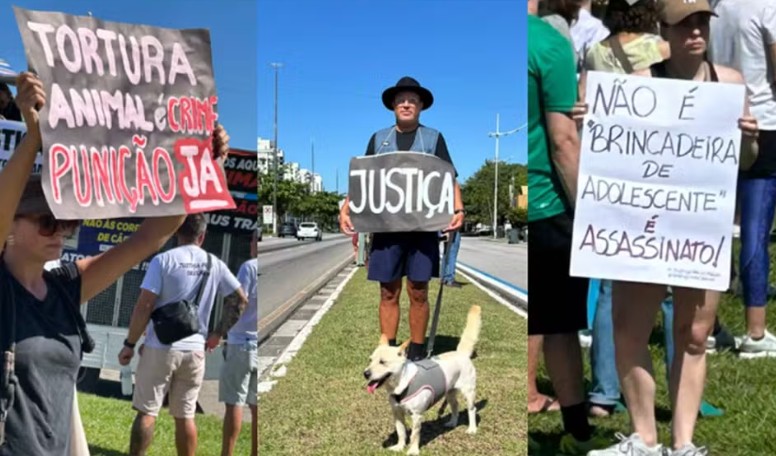 Manifestações pelo Brasil pedem justiça por cão Orelha 