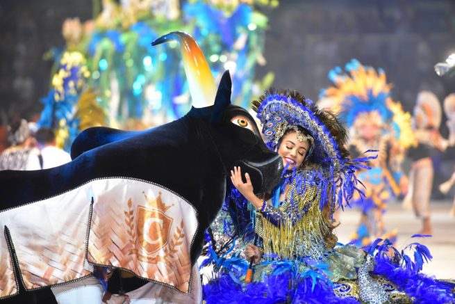 Pesquisa indica 120 bois-bumbás em 23 cidades do Amazonas