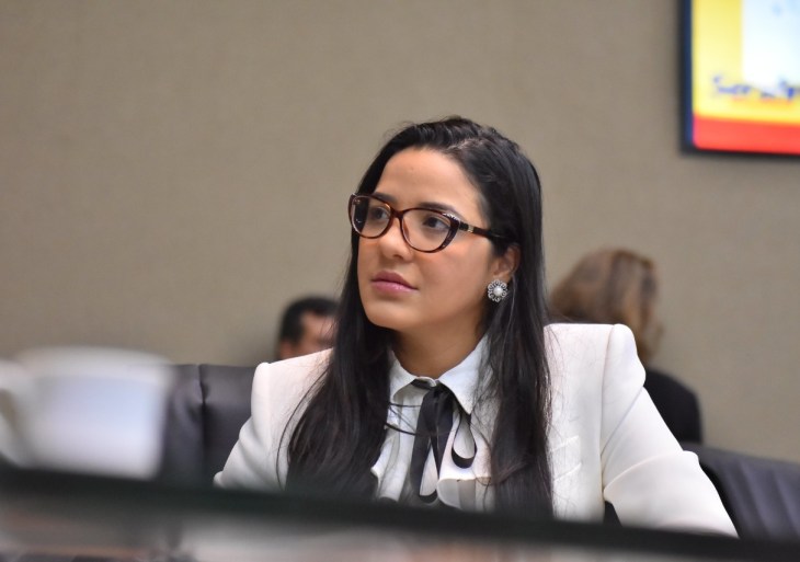 Governo apresenta a deputados plano incompleto para enfrentar a pandemia