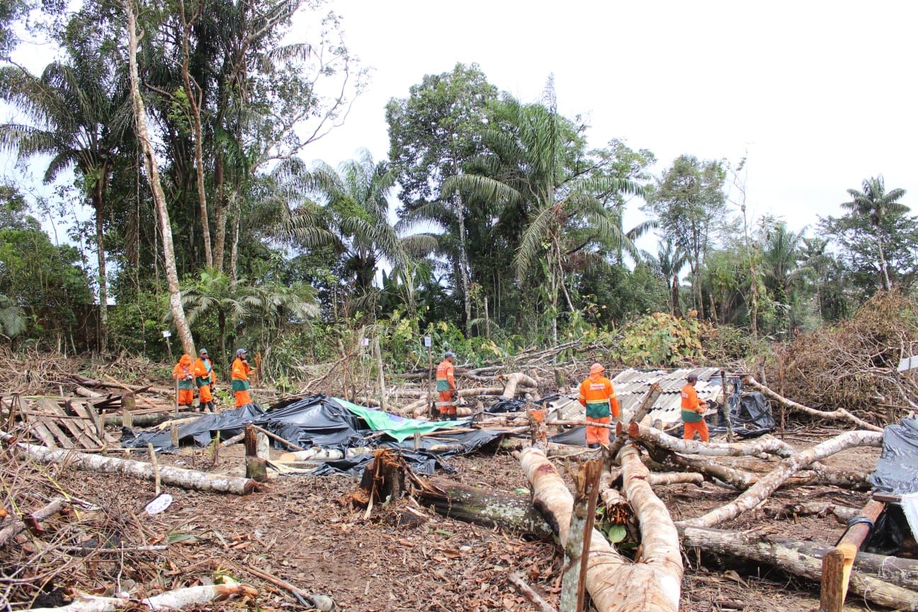 Operação retira barracos de invasão em área de proteção ambiental em Manaus