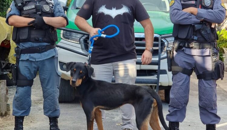 Cachorro é resgatado após passar dias preso sem comida e água em Manaus