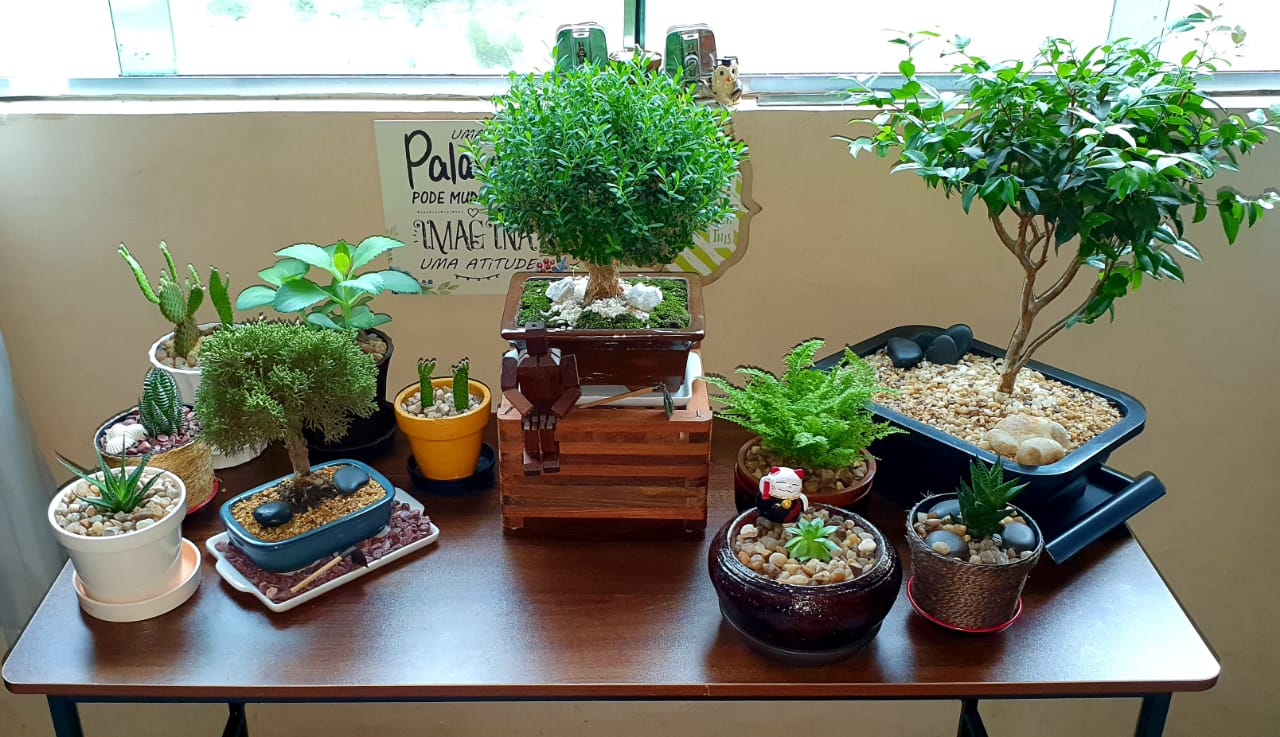 Jardinagem é aliada para enfrentar o isolamento durante pandemia