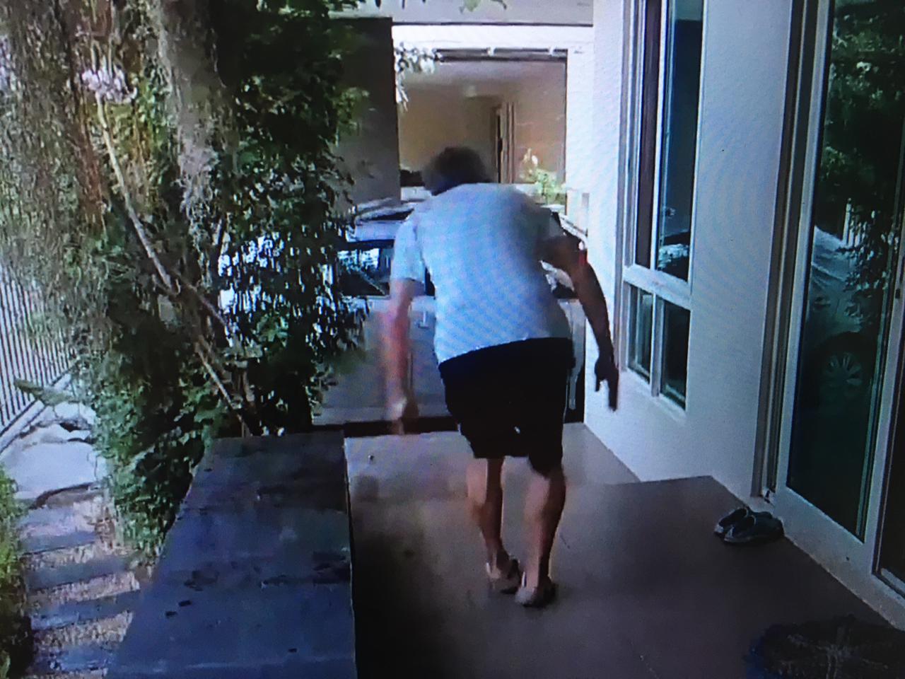 Cobra invade casa e aterroriza morador e animais de estimação; Veja vídeo