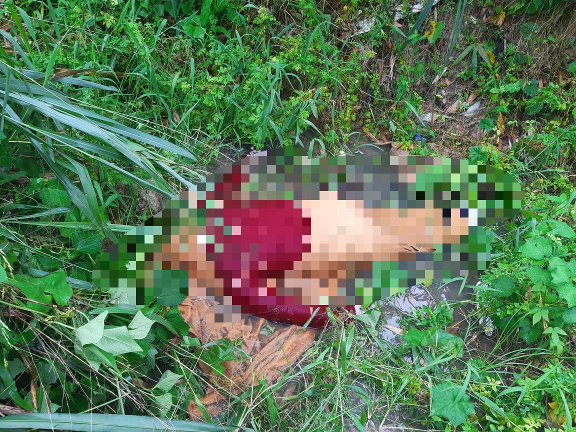 Homem é assassinado e desovado em área de mata de Manaus
