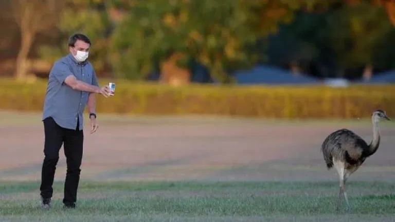 Rosa Weber envia notícia-crime de Bolsonaro à PGR por indicar cloroquina 