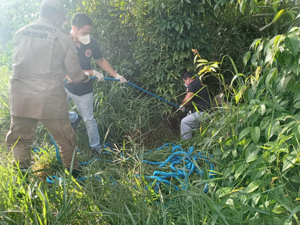 Corpo é encontrado em área de mata em Manaus