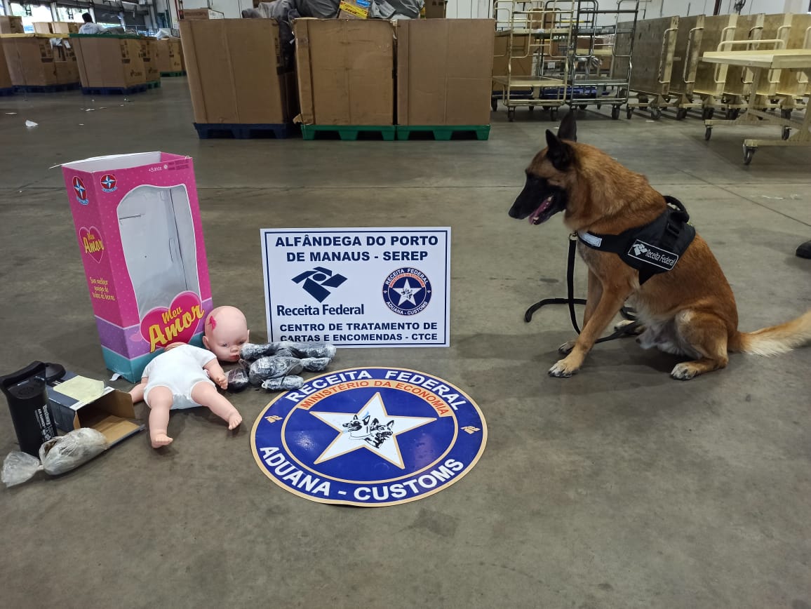 Piscina recheada de drogas é encontrada durante fiscalização em Manaus