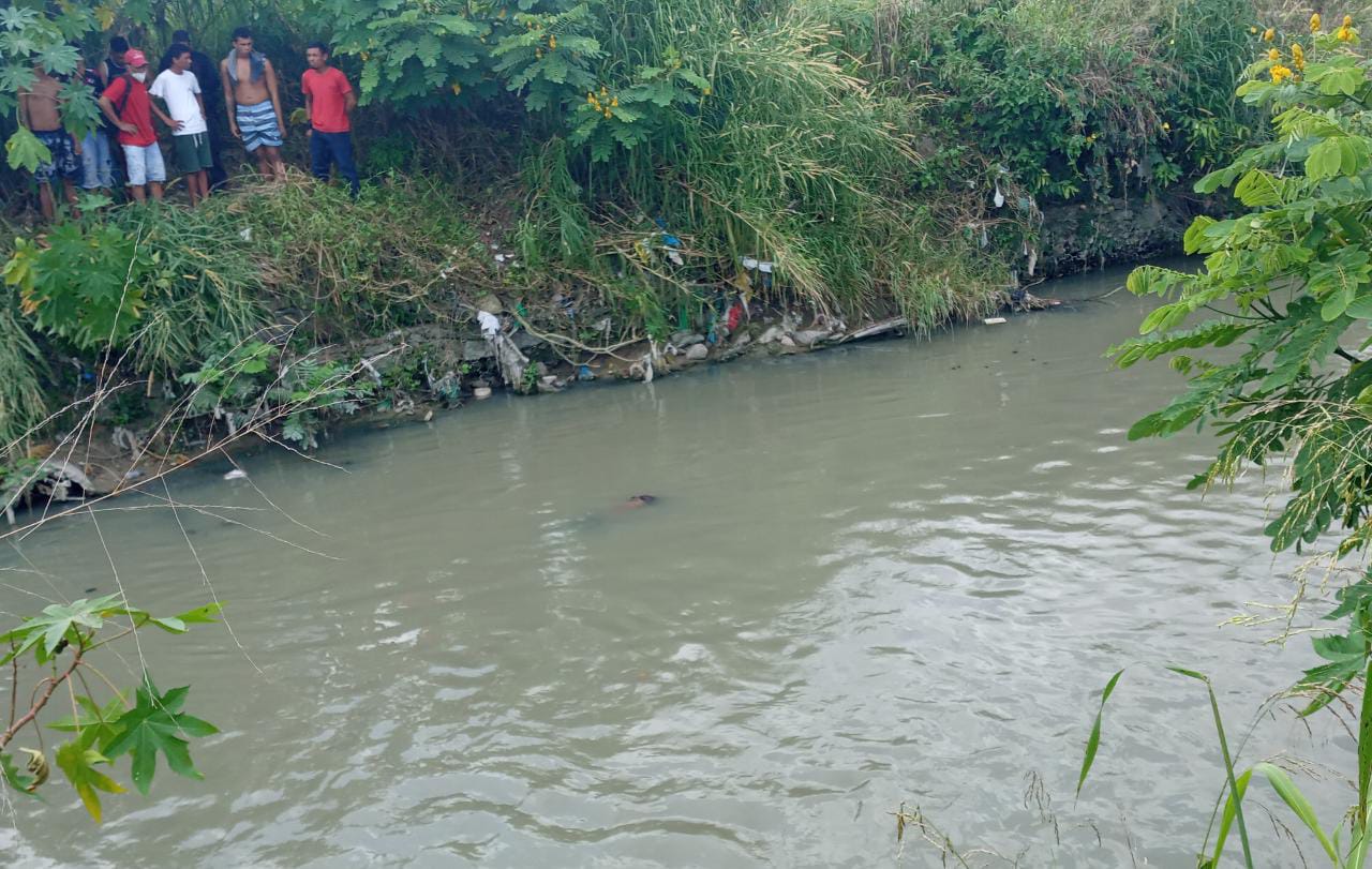 Com marcas de tiro, corpo é encontrado boiando em igarapé de Manaus 