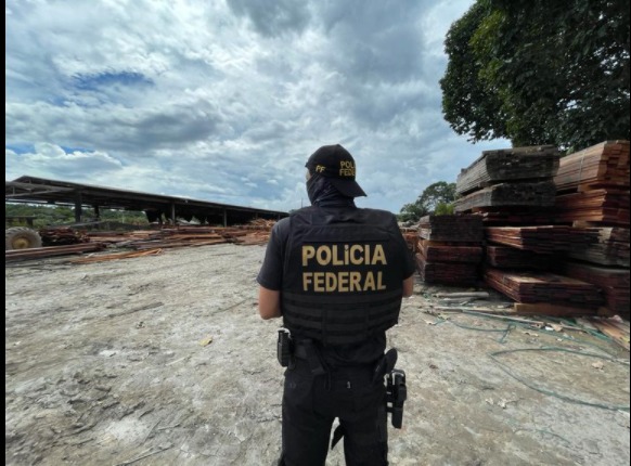 Serrarias são fechadas e multadas em mais de R$400 mil no Amazonas