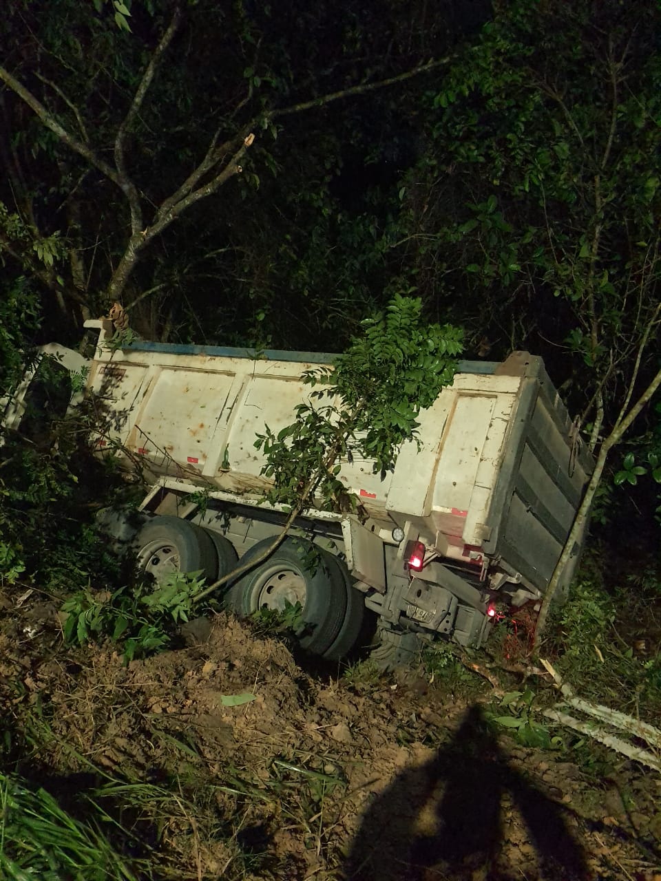 Caminhão desgovernado invade mata e se choca contra árvores em Manaus 