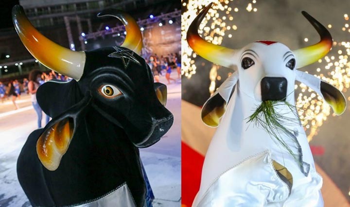 Festival Folclórico: Caprichoso e Garantido apresentam live no Bumbódromo