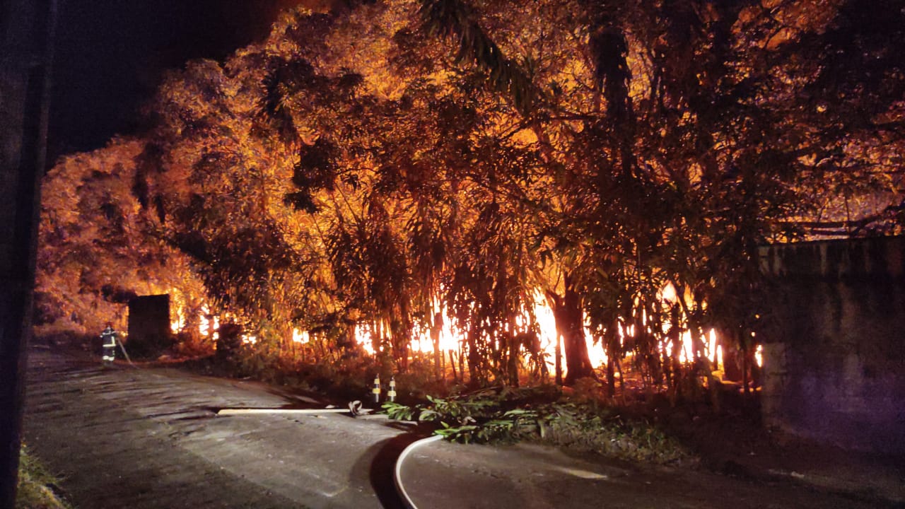 Labaredas de fogo consomem área de mata em Manaus e preocupa moradores