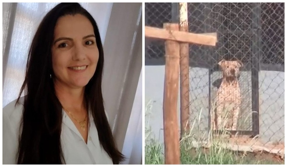 Mulher pode ter sido morta por pitbulls após cães sentirem cheiro de comida