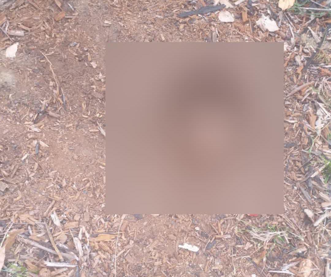 Homem tem a cabeça arrancada após discussão no Amazonas