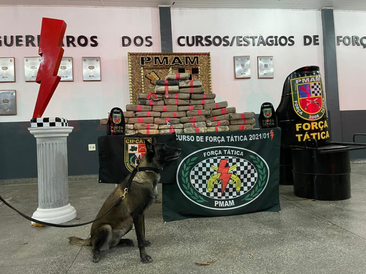 Após denúncia anônima, polícia encontra 80 kg de drogas em Manaus