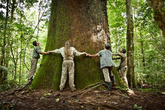 Dia Mundial do Turismo - a indústria que adormece na Amazônia
