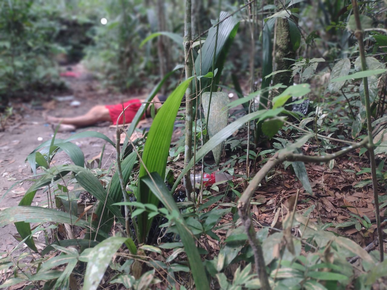 Mulher é executada com tiros na cabeça em área de mata em Manaus