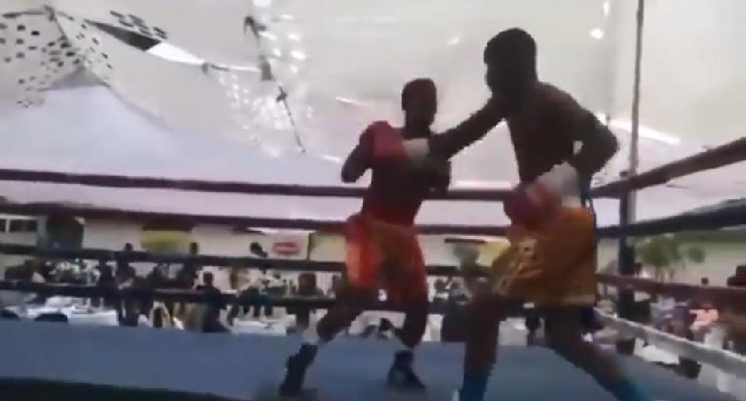 Vídeo: Boxeador morre aos 23 anos após ser nocauteado em luta