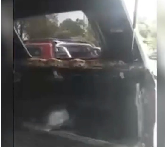 Morador captura sucuri de 4 metros no quintal de casa; veja vídeo