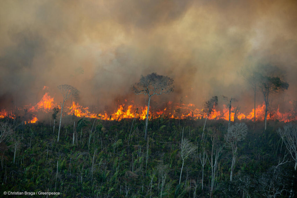 Amazônia registrou 73,4 mil focos de incêndios de janeiro a novembro