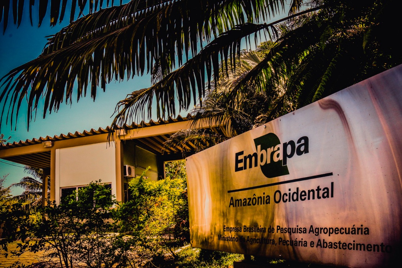 Embrapa Amazônia Ocidental divulga seu primeiro Edital de Inovação Aberta