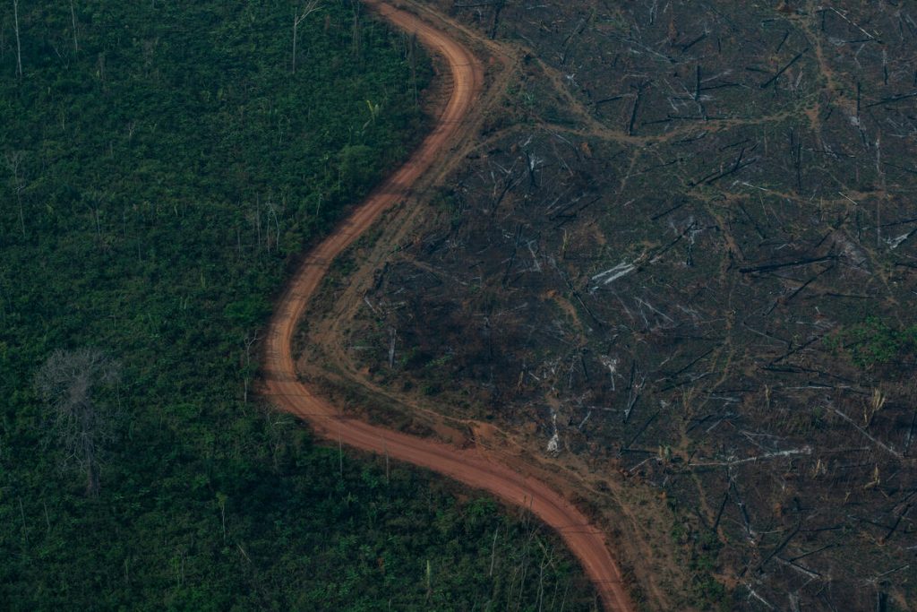 Apuí no Amazonas lidera índice de queimadas em 2021
