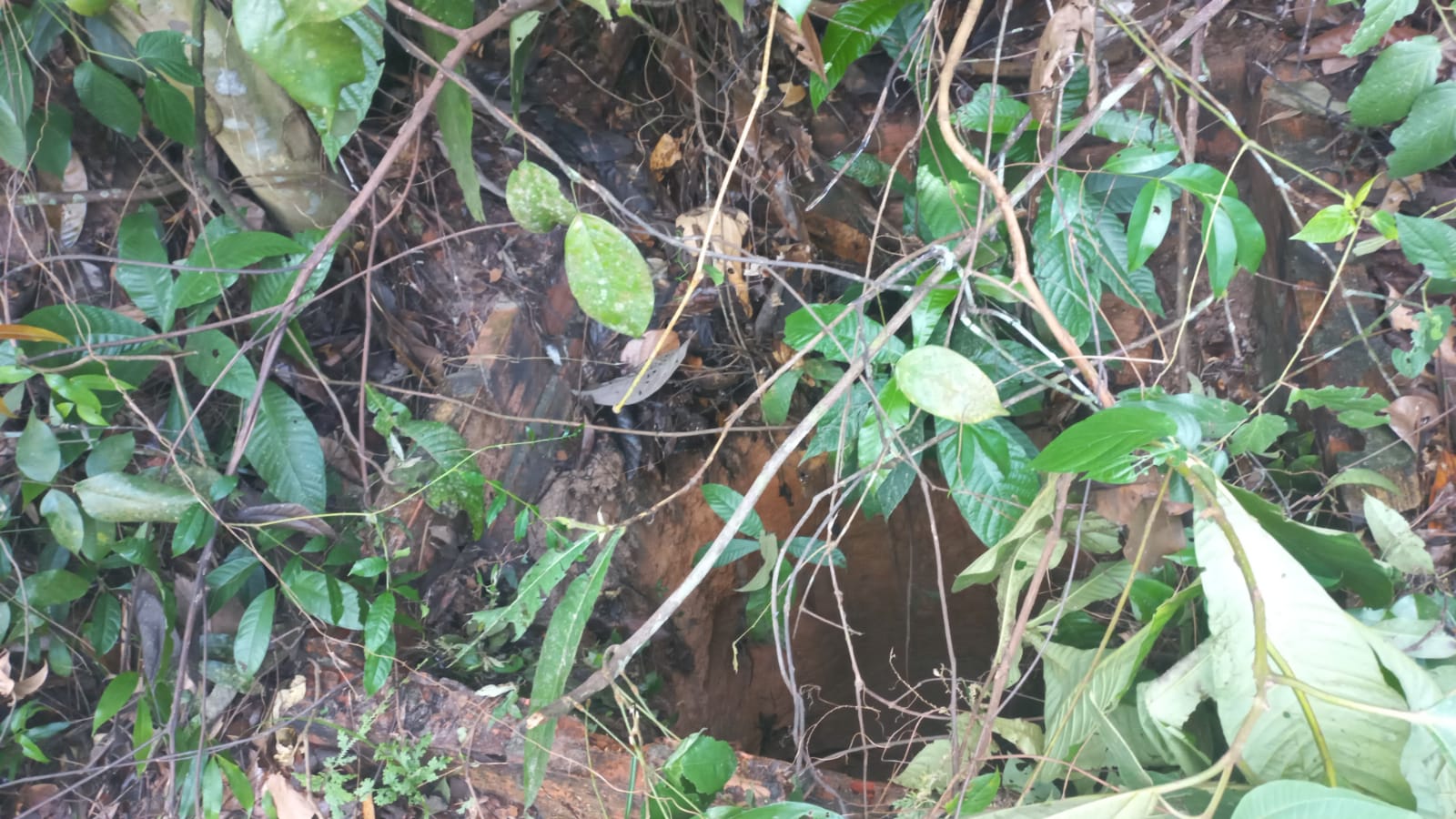 Corpo de homem é achado em decomposição dentro de bueiro em Manaus 