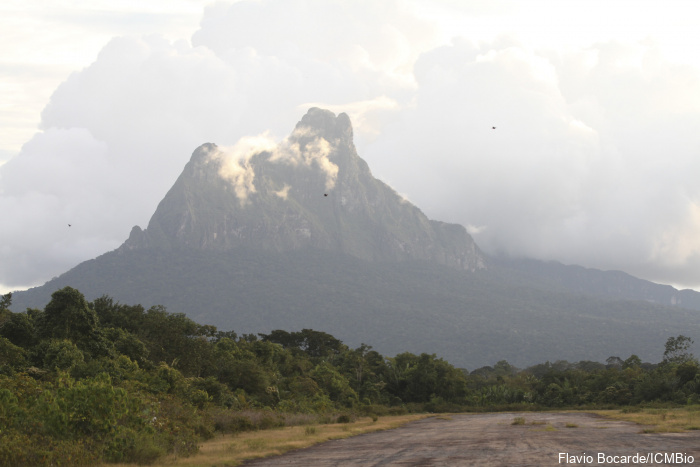 Após 5 anos fechado, Pico da Neblina reabre para visitação em janeiro