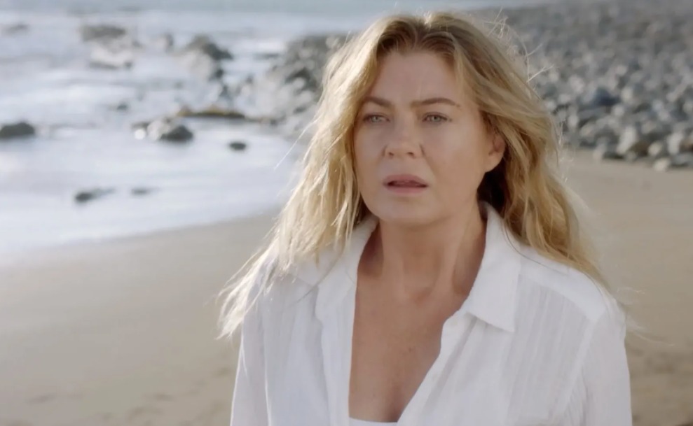 'Grey's Anatomy': Negociações para 19ª temporada já começaram, diz site