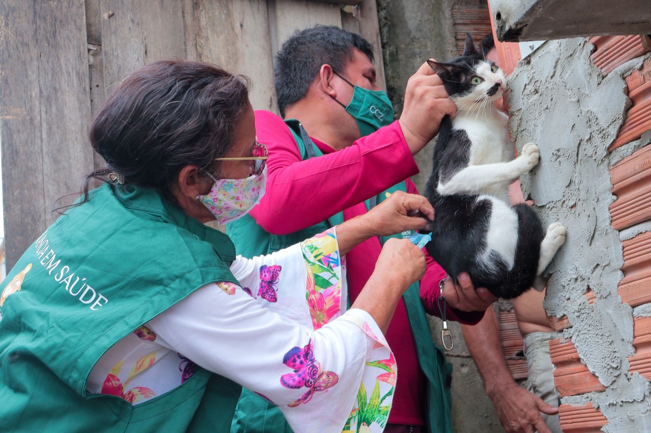Postos fixos de vacinação antirrábica atendem até sexta-feira em Manaus