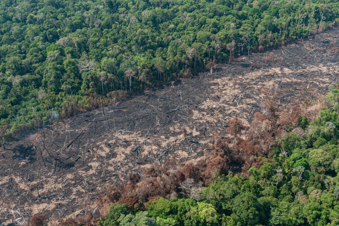 Desmatamento na Amazônia em 2021 destruiu área do tamanho de Manaus 