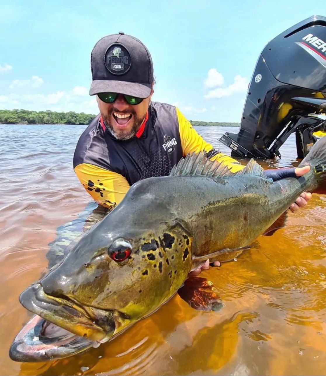 A força econômica do Tucunaré 
