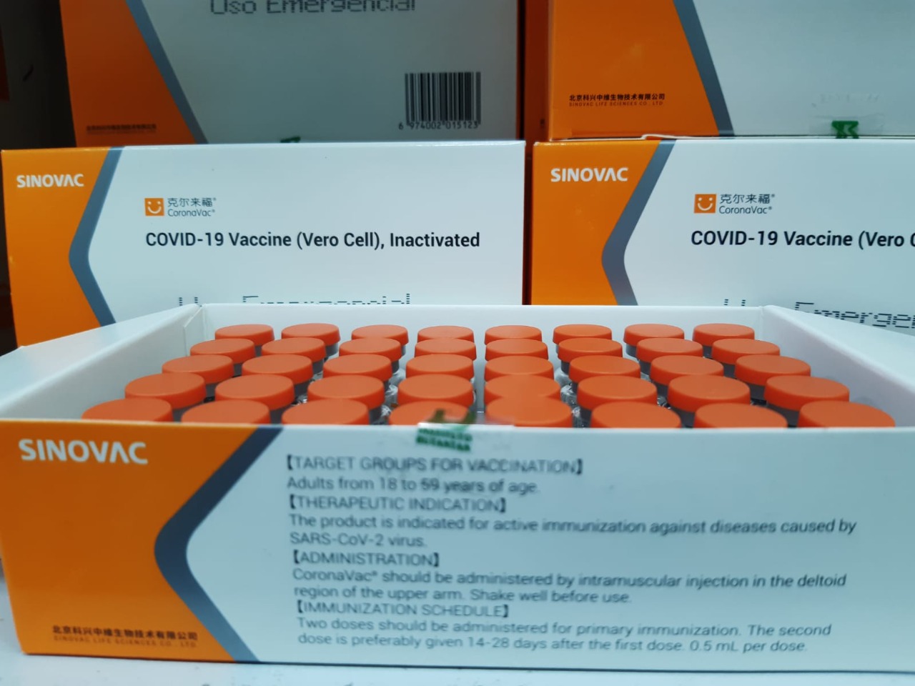 Amazonas recebe mais de 80 mil doses de Coronavac nesta quarta