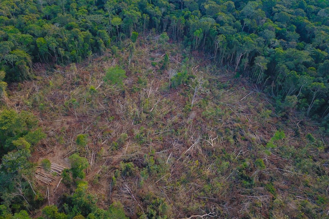 Amazônia bateu recorde de desmatamento em janeiro
