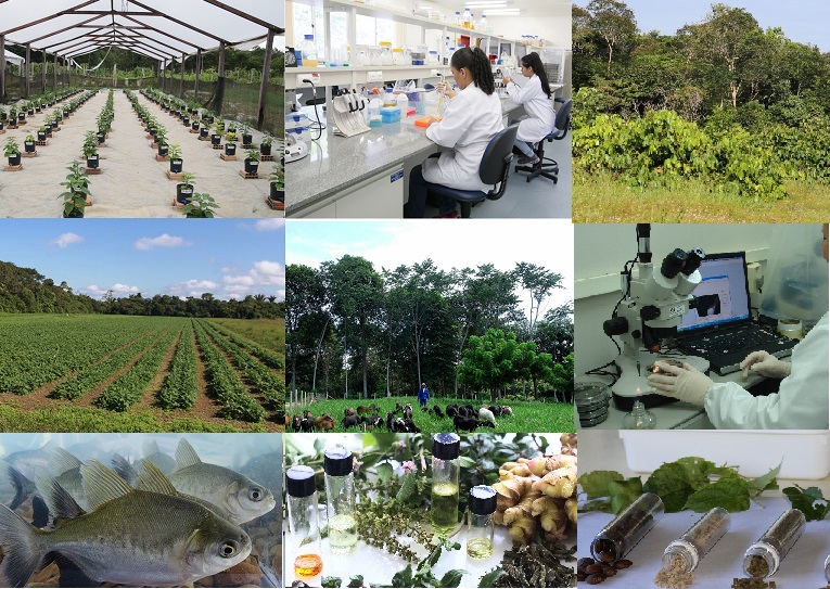 Embrapa recebe propostas de projetos de inovação até domingo