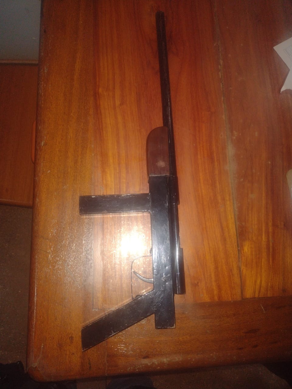 Homem é preso após atirar na boca de cachorro no Amazonas